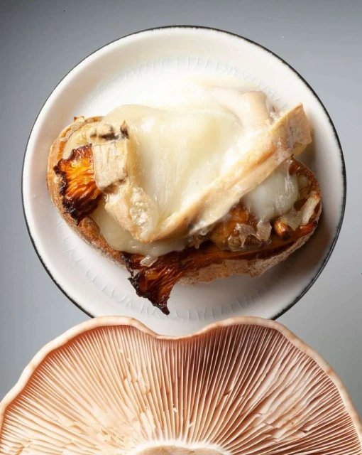 Overhead shot of chanterelle mushroom toast with melted cheese on a white plate beside a large mushroom with visible gills.
