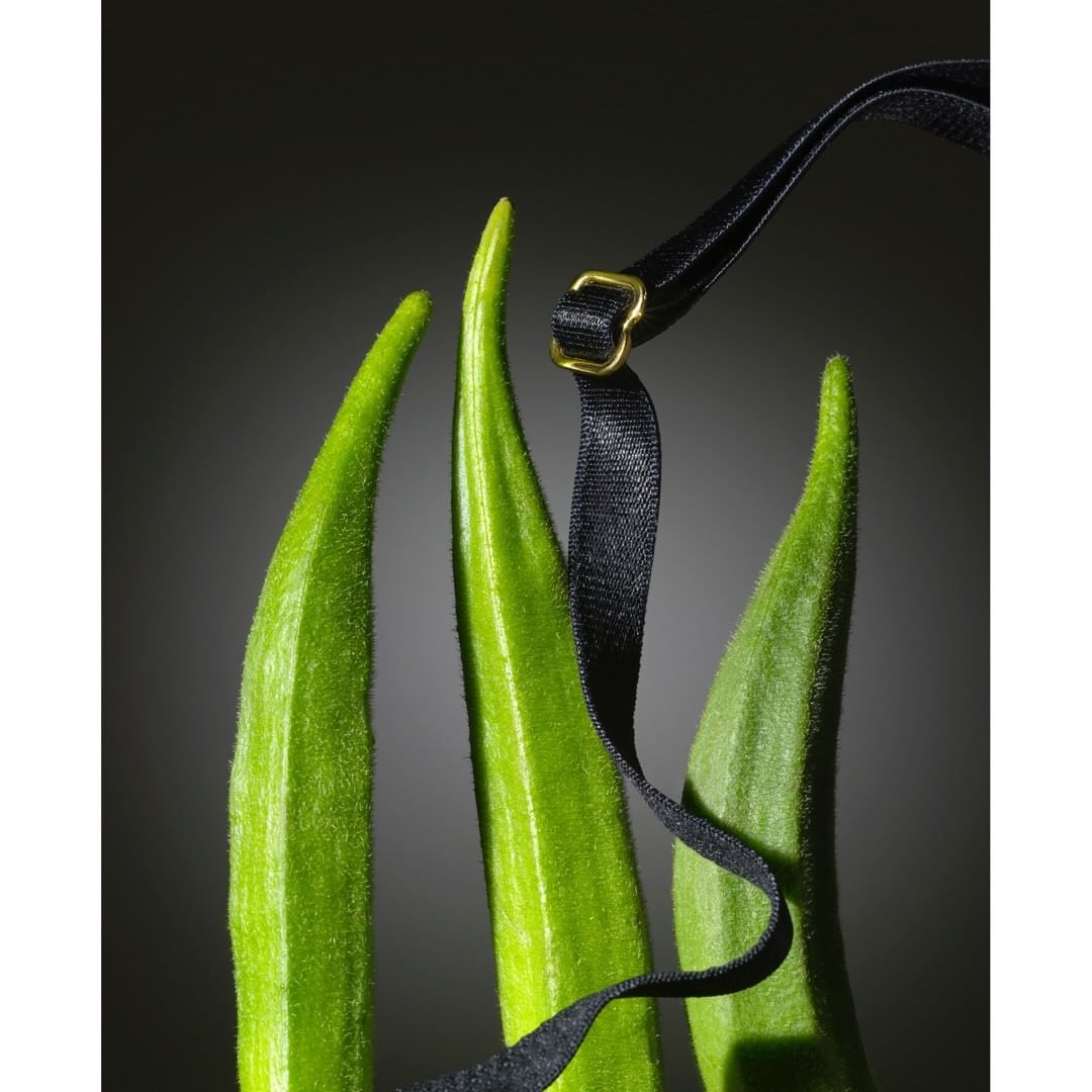 Close-up studio shot of three okra vegetables standing upright with a black strap looped around them against a dark gradient background.