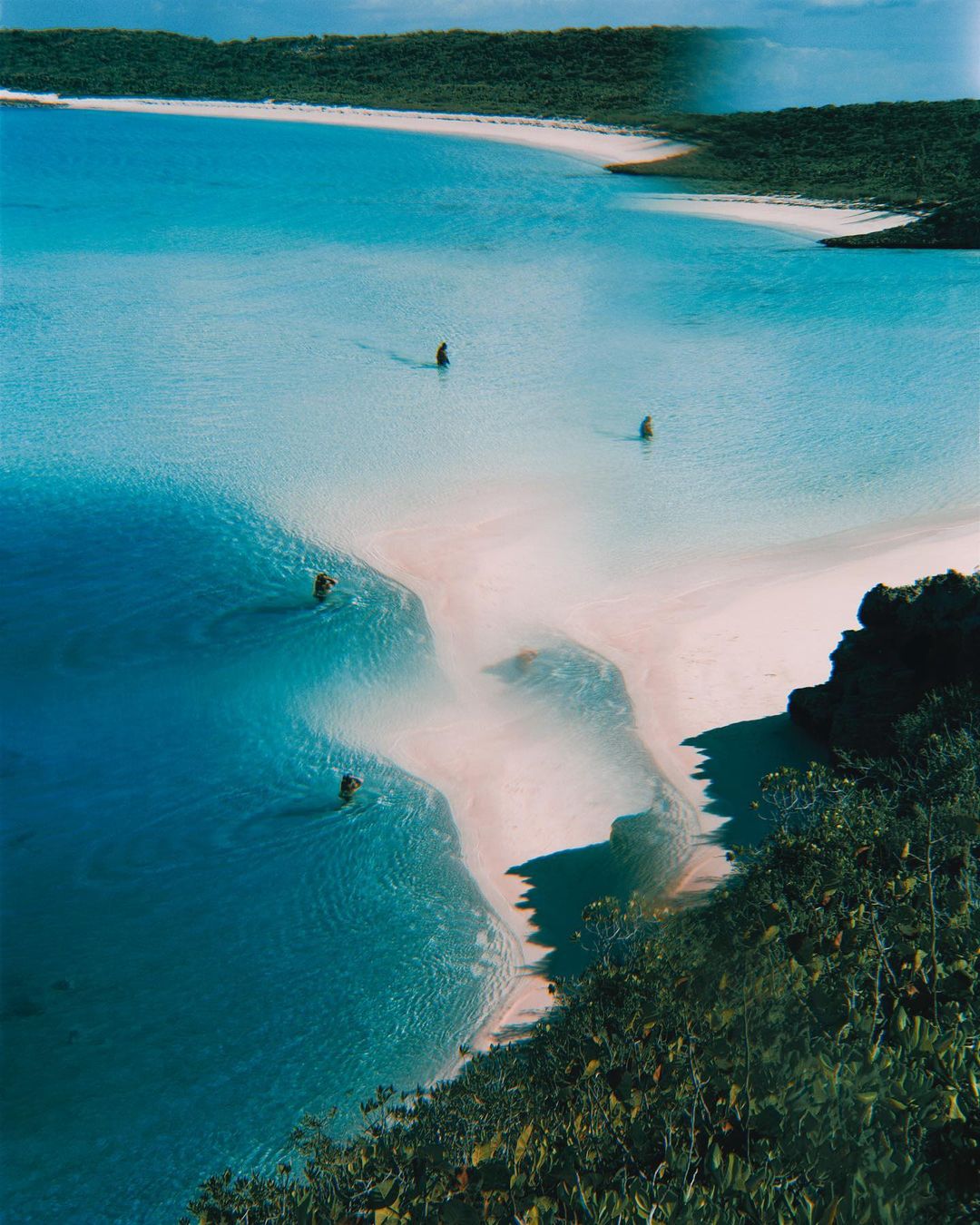 Aerial view of five people wading in shallow, turquoise water on a sandy beach, lush greenery in the distance. Relaxing tropical scene.