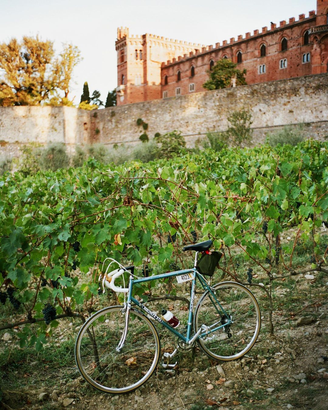 Racing bike parked in vineyard rows with historic castle in the distance; outdoor scene, daylight, featuring a bike against landscape.