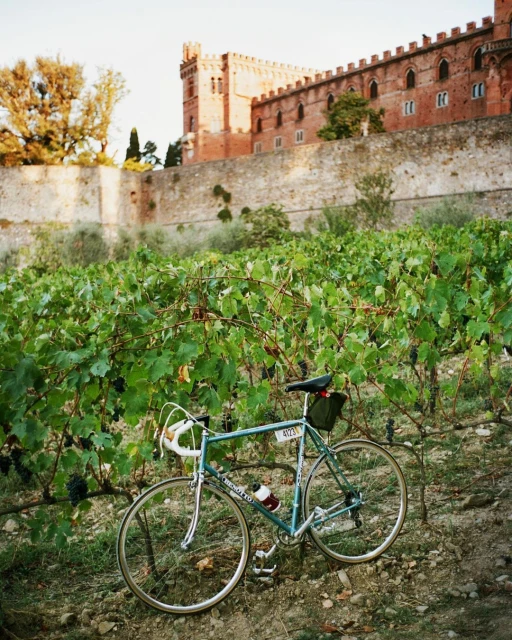 Racing bike parked in vineyard rows with historic castle in the distance; outdoor scene, daylight, featuring a bike against landscape.