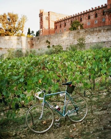 Racing bike parked in vineyard rows with historic castle in the distance; outdoor scene, daylight, featuring a bike against landscape.