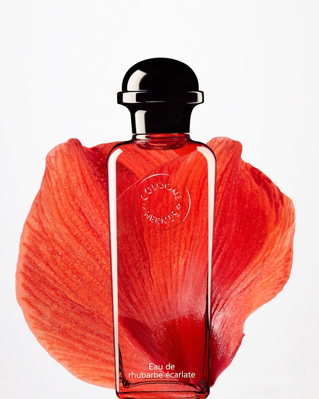 Still life of Hermès Eau de Rhubarbe Écarlate perfume bottle with a black cap, set against an orange flower petal and white background.