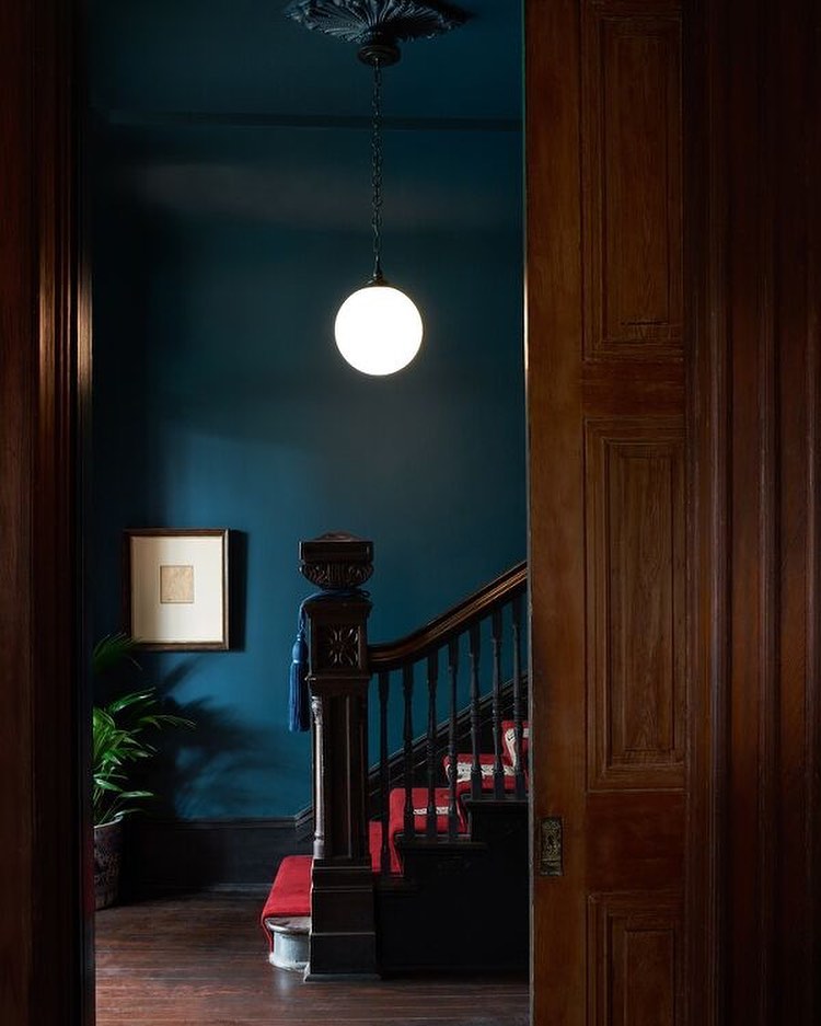 Interior view of a home hallway with a dark blue wall, a staircase, a wooden door frame, a hanging light fixture, and potted plant.