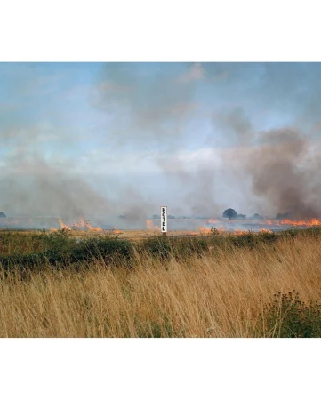 Paul Graham