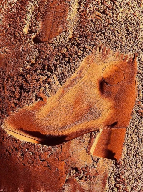 Earthen-toned sculpted high-heel shoe lies nestled in textured soil, blending fashion with natural hues, creating a unique visual statement.