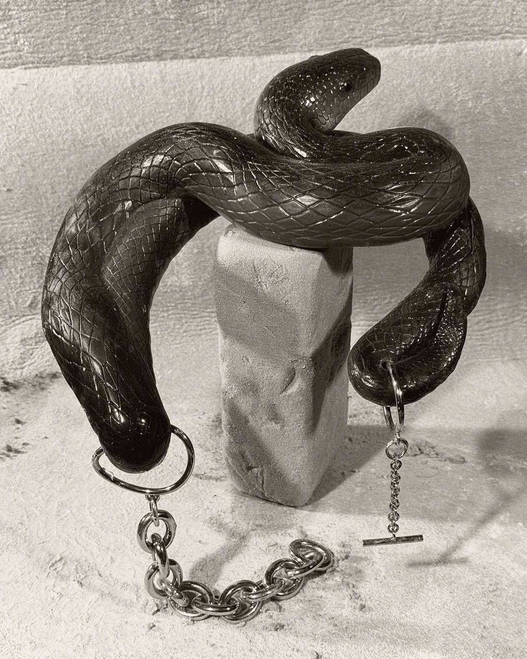 Monochromatic image of a dark snake coiled around a concrete block, with a silver chain attached, against a textured backdrop.