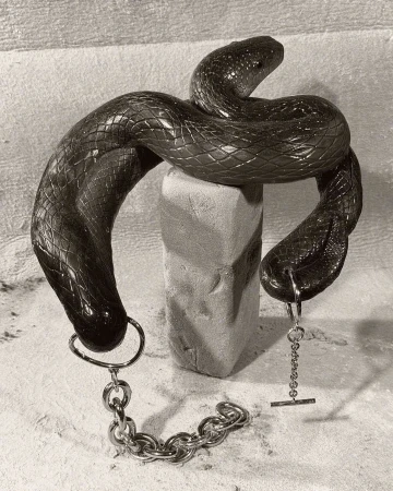 Monochromatic image of a dark snake coiled around a concrete block, with a silver chain attached, against a textured backdrop.