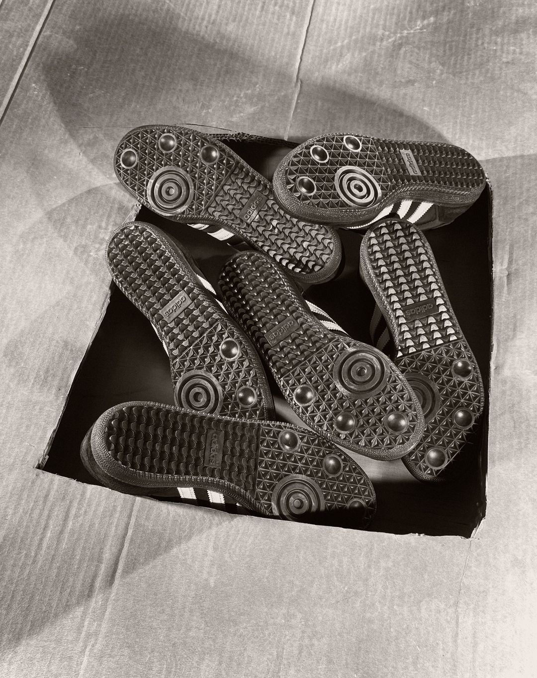Multiple pairs of Adidas Samba sneakers in a cardboard box, soles facing up, featuring the brand's classic three-stripe design.