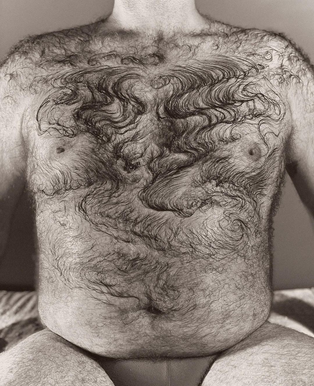 Monochrome, close-up shot of a Caucasian adult male's torso, densely covered in hair, photographed in a photo studio with soft lighting.
