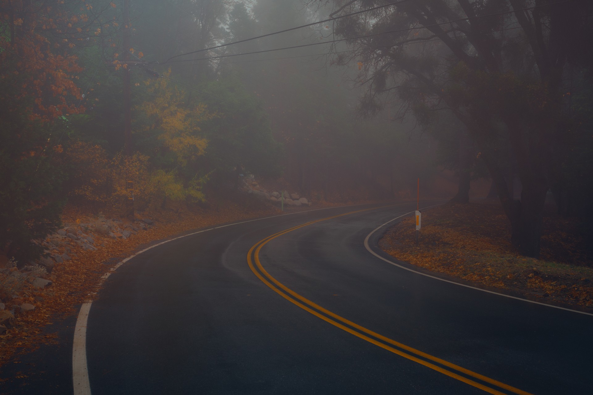 Winding road curves through a foggy forest landscape with autumn foliage and double yellow lines marking the center of the asphalt.