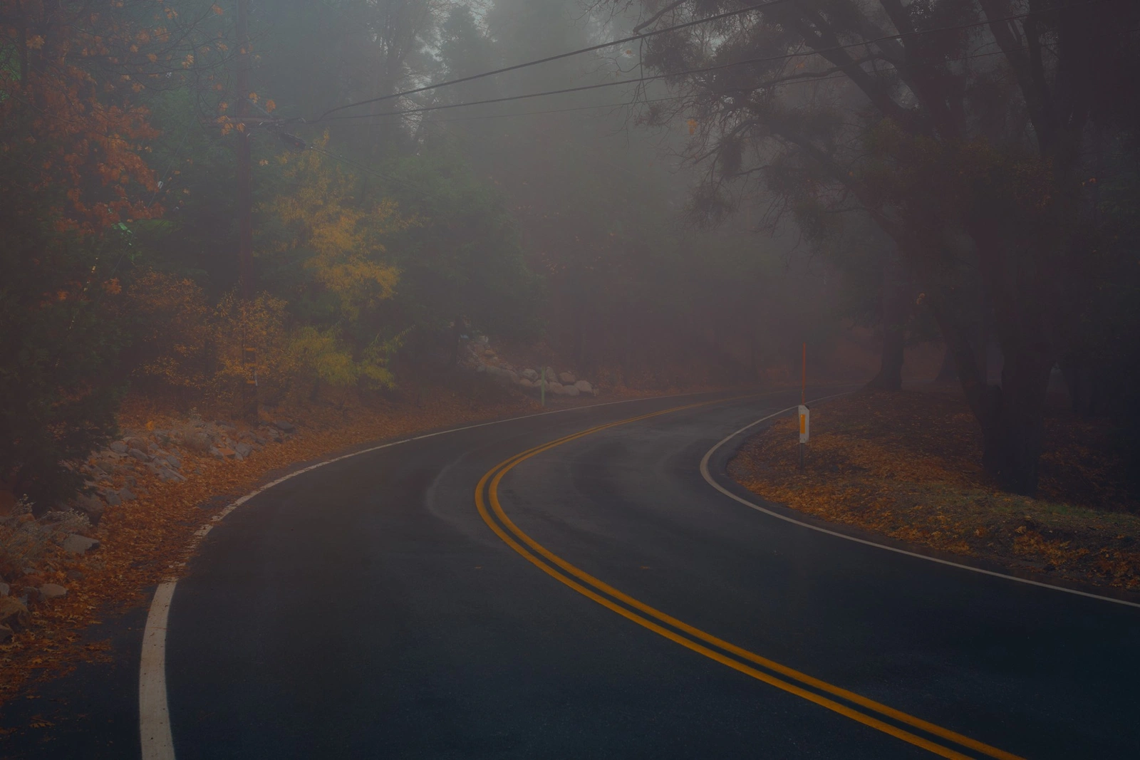 Winding asphalt road with double yellow lines curving through a dense foggy forest lined with autumn trees.