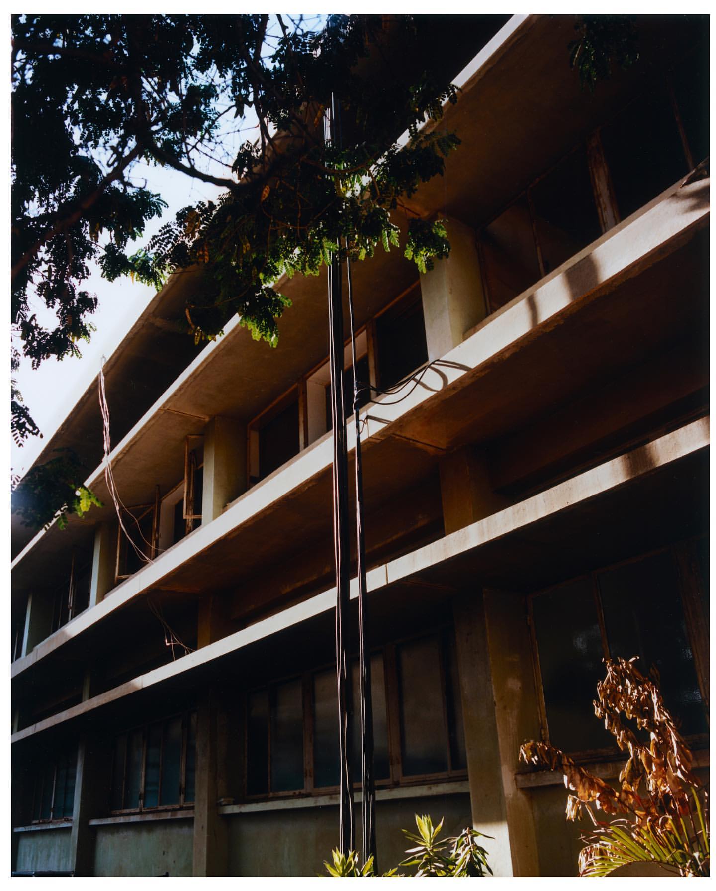 Exterior view of a multi-story building with a concrete facade, windows, and a tree partially obscuring the view on a sunny day.
