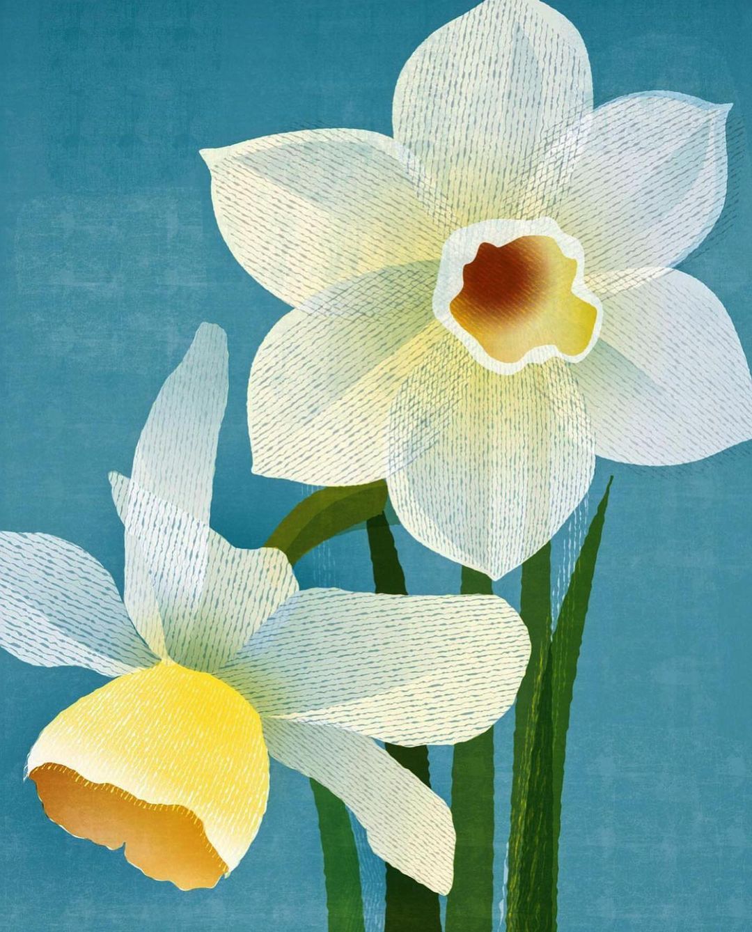 Illustration of white daffodil flowers with green stems on a blue background, showcasing a blend of natural and artistic elements.
