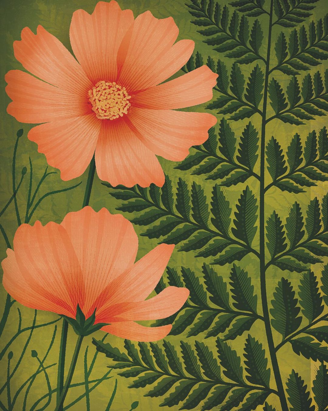 Digital painting of two orange cosmos flowers with yellow centers surrounded by green ferns on a green mottled background.