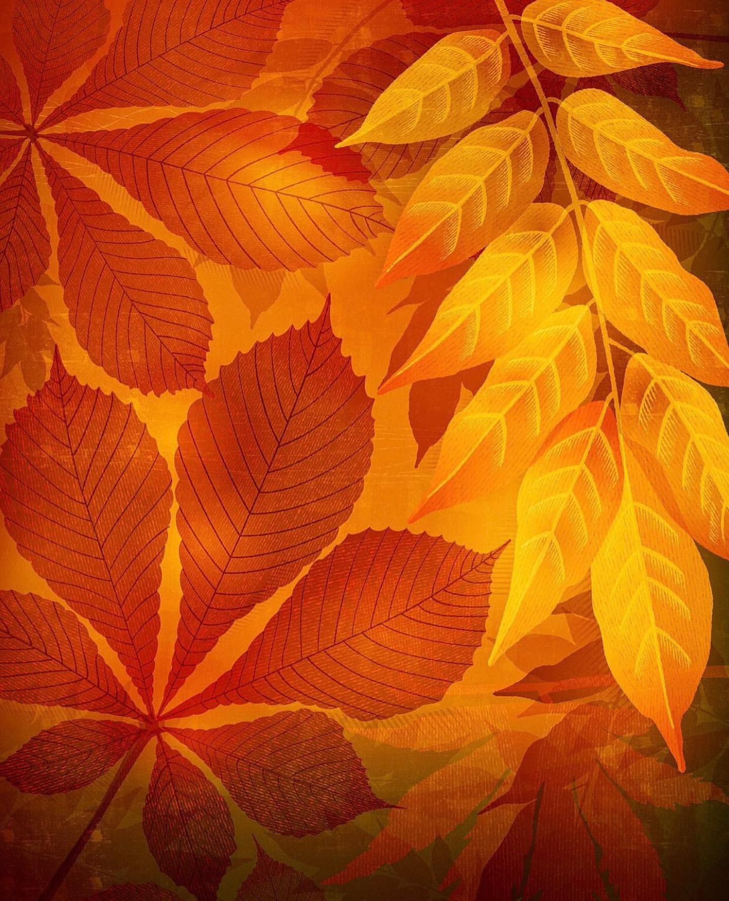 Close-up of several colorful autumn leaves in shades of orange and yellow, with visible veins, and a blurred background.