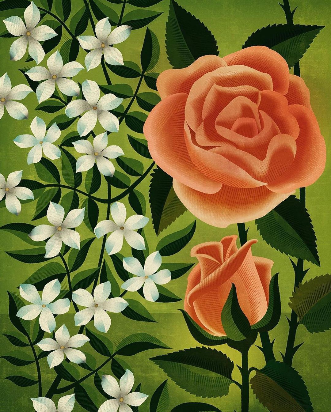 Artwork of peach-colored roses with dark green leaves and white flowers on a light green background, creating a textured floral design.