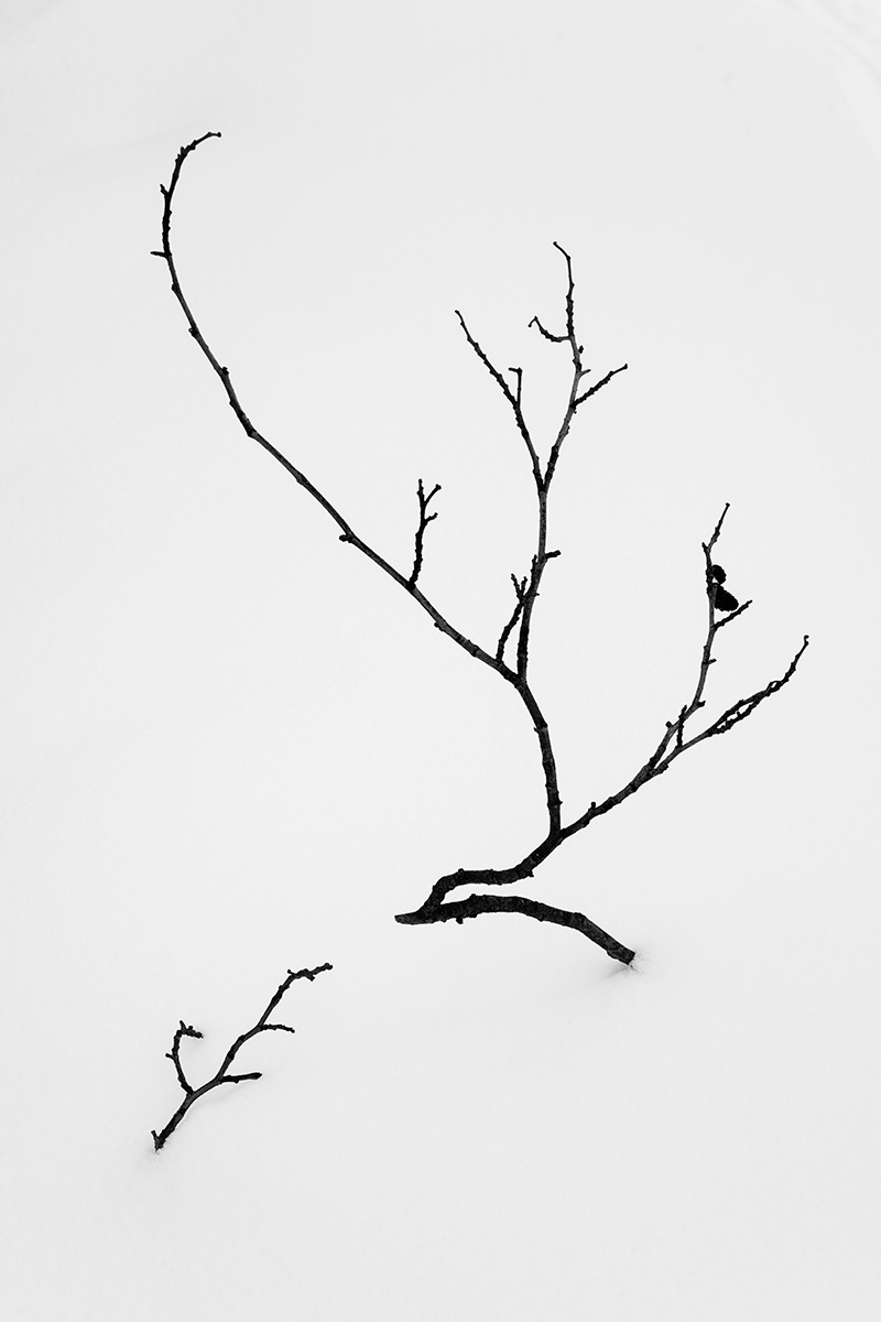 Minimalist black and white photo of a bare dark branch and a small detached twig resting on pristine white snow