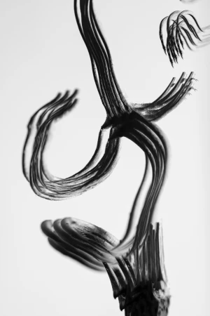 Abstract black paint brush strokes forming curving linear shapes on a plain white background