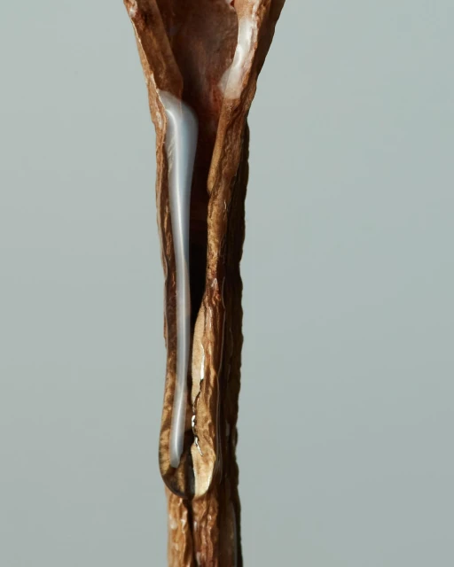 Close-up of a stick with sap running down it and a drop forming at the end, set against a plain background.