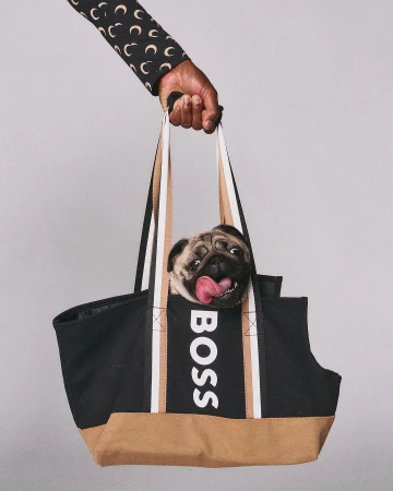 Pug dog with tongue out in Hugo Boss tote bag held by an adult hand wearing a black patterned sleeve on a gray background.