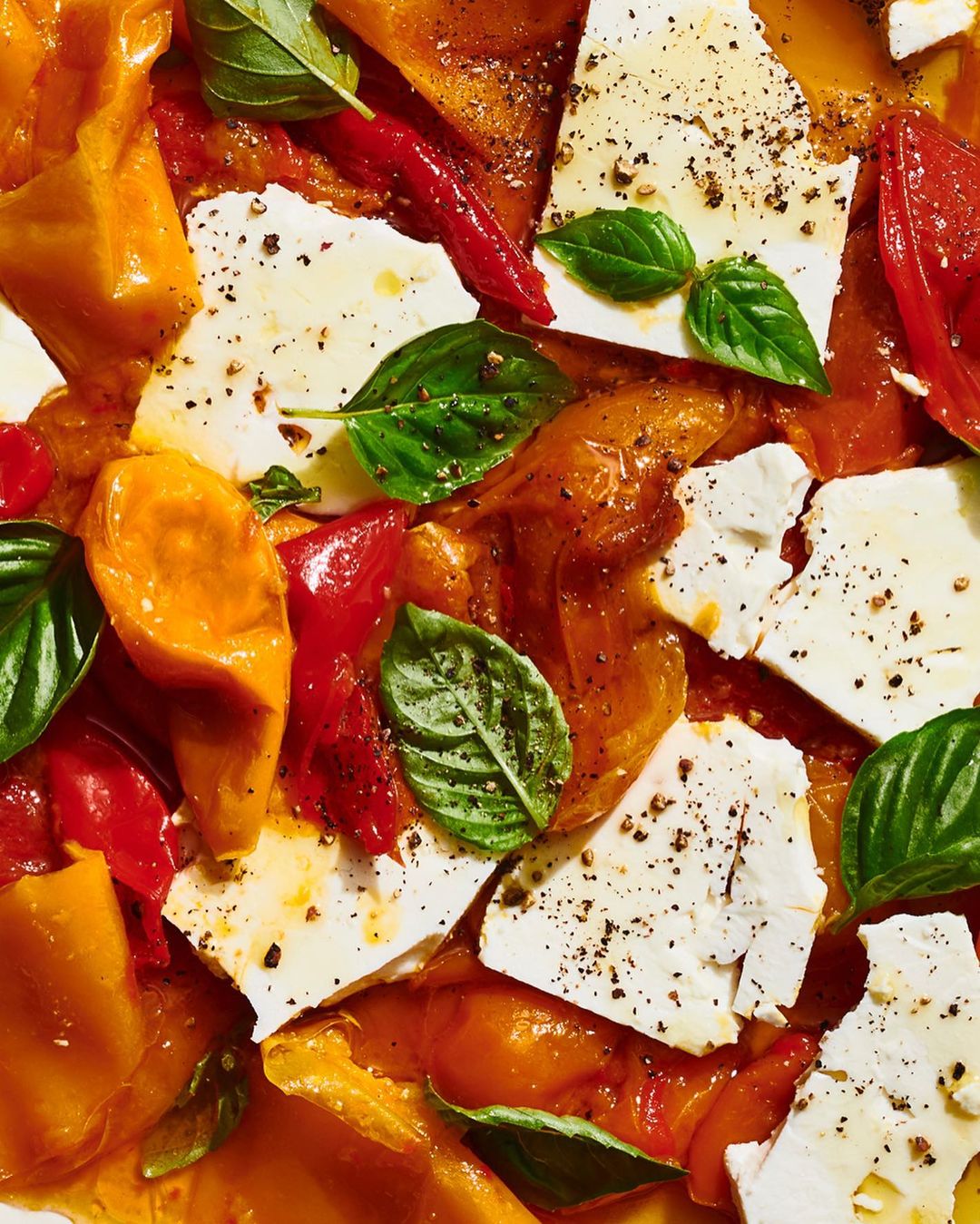 Overhead shot of a colorful food dish featuring white cheese, bell peppers in red and yellow, and fresh green basil leaves.