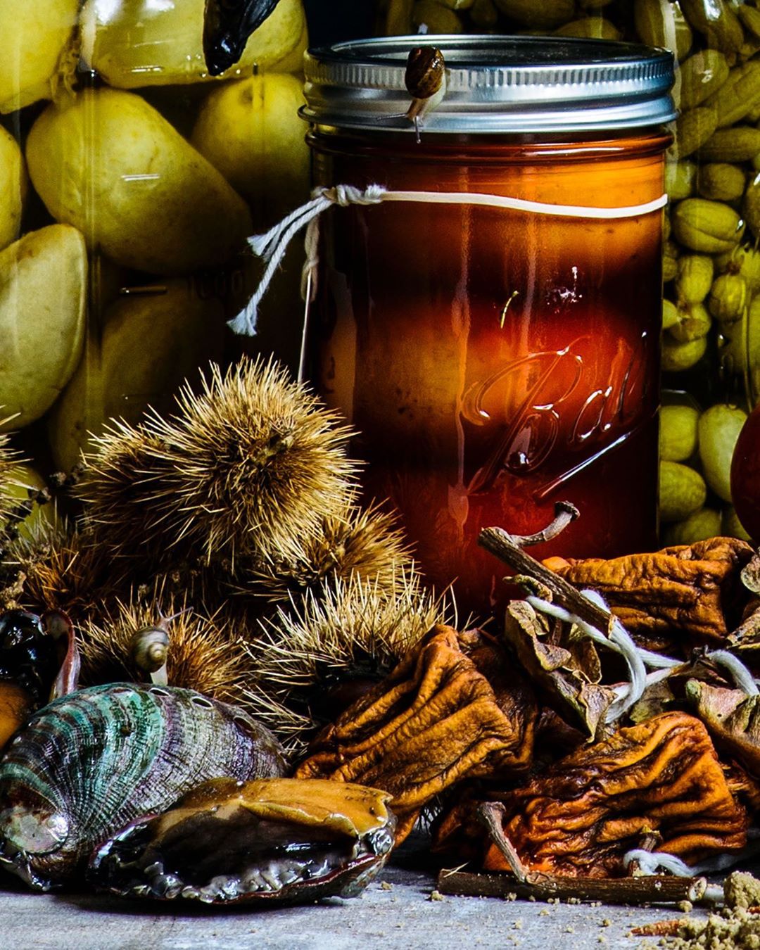 Still life food photography featuring canned pears and persimmons preserved in jars, along with shells and nuts on a textured surface.