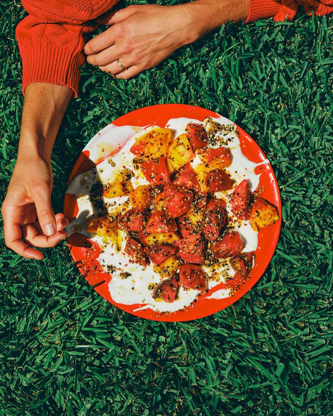 Overhead view of a plate of food held over green grass. The red and yellow food is topped with seasoning and sauce.