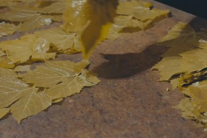 Grape leaves prepared on a brown surface. The leaves are yellow and some appear to have a glossy or wet surface on a brown backdrop.