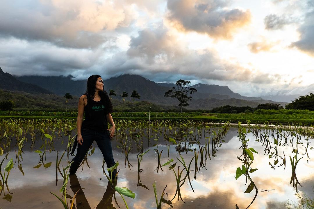Woman stands in field reflecting cloudy sky and mountains. The agricultural setting has taro plants. Overcast sky and landscape.