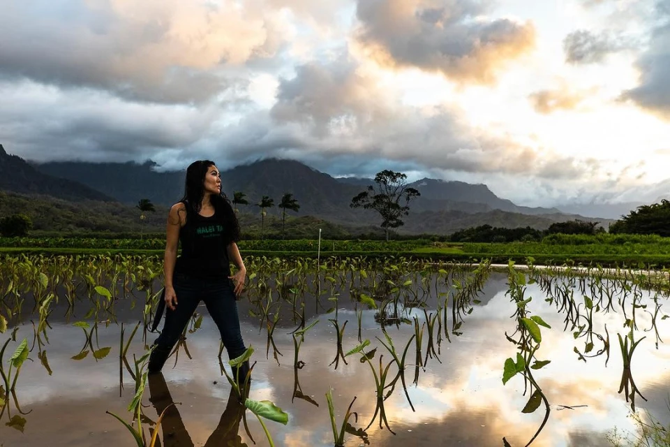Woman stands in field reflecting cloudy sky and mountains. The agricultural setting has taro plants. Overcast sky and landscape.