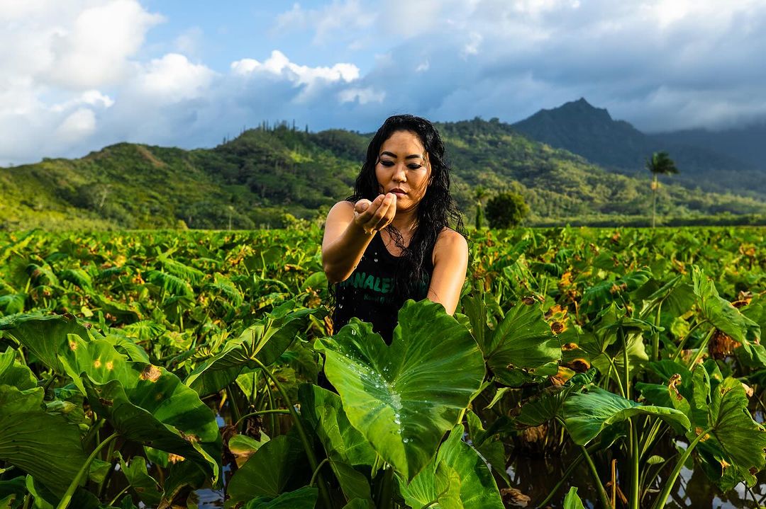 Woman in a lush taro field against a scenic mountain backdrop, holding water in her palm, highlighting nature and agriculture.