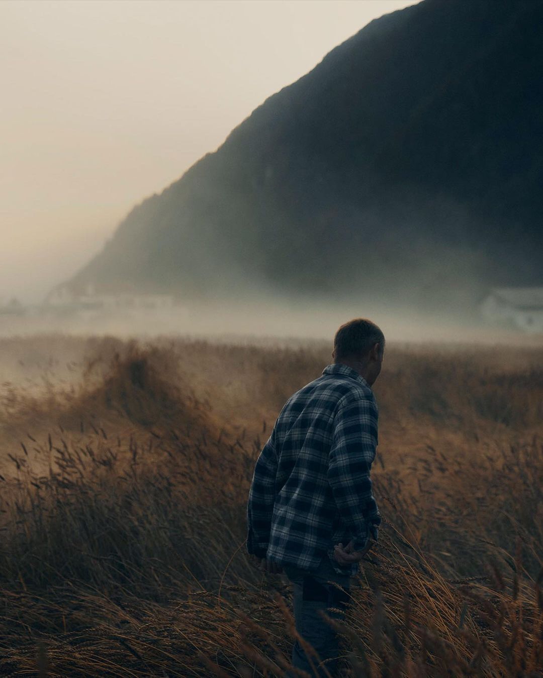 Man walks through a golden wheat field at sunset with a mountain and misty background, wearing a plaid shirt in a rural setting.