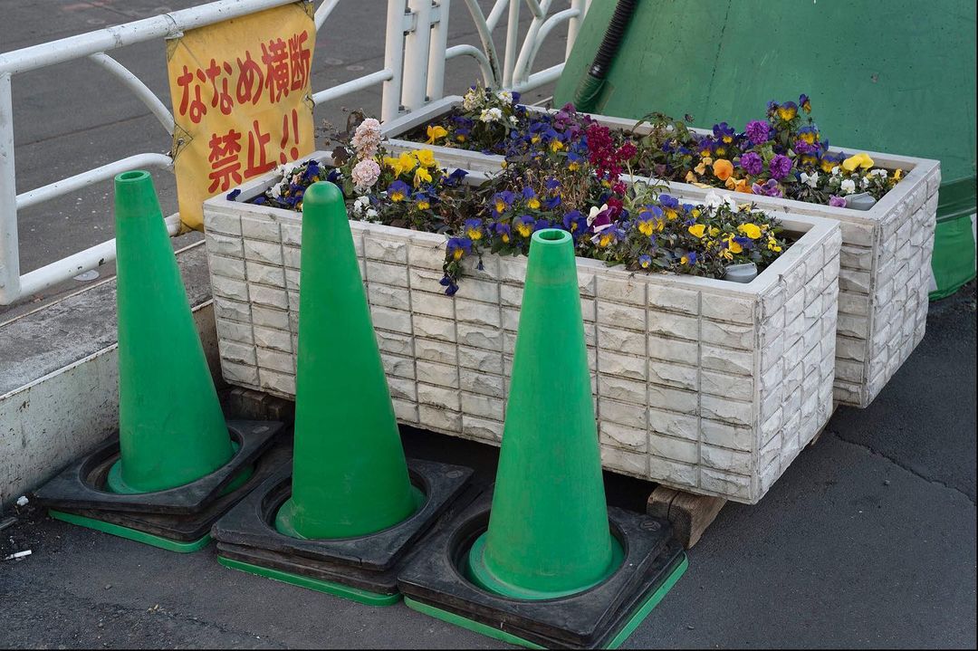 Two rectangular flower planters with colorful flowers sit behind three green traffic cones on a concrete surface, next to a metal railing.