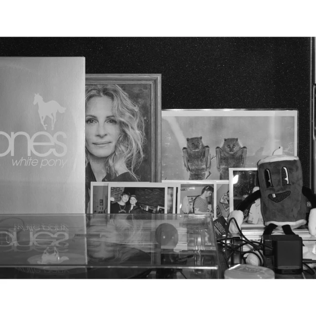 Black and white still life featuring framed portraits, a stuffed toy, and records on a reflective surface, creating a nostalgic feel.