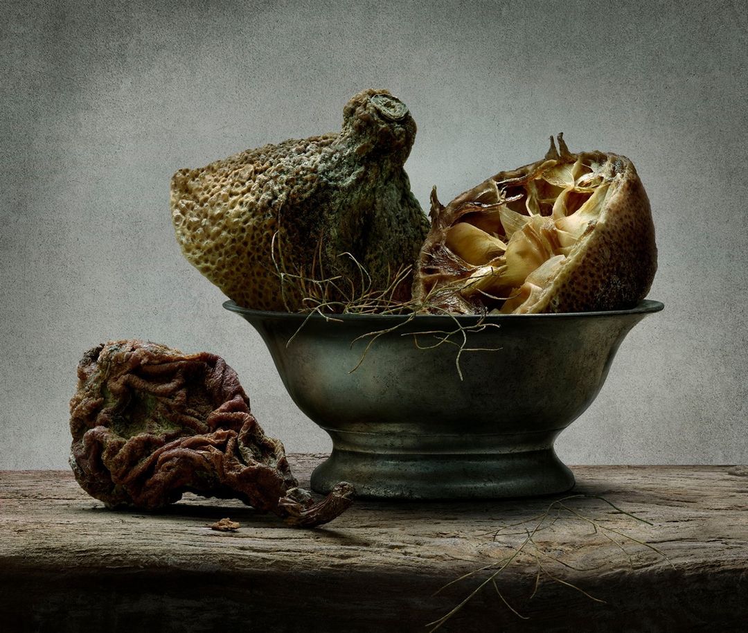 Still life photograph of decomposing citrus fruit arranged inside of a metal bowl on top of a weathered wooden surface in a photo studio.