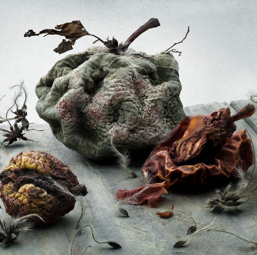 Still life composition with a rotten apple surrounded by shriveled fruit and seed pods on a neutral surface, in a muted color palette.