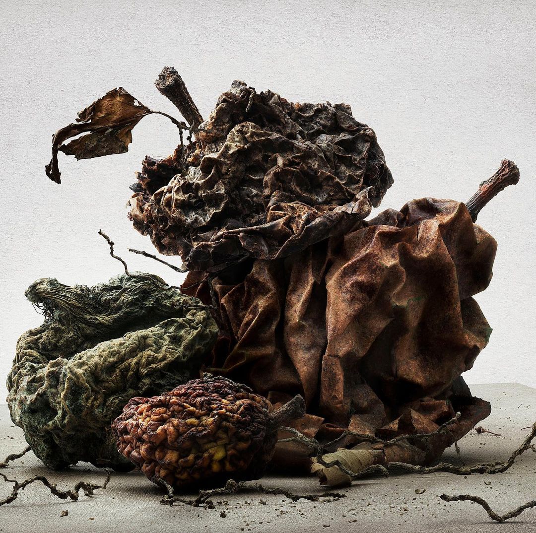 Still life of decomposing apples featuring textures and wrinkles. The scene is set in an indoor studio and employs photography.
