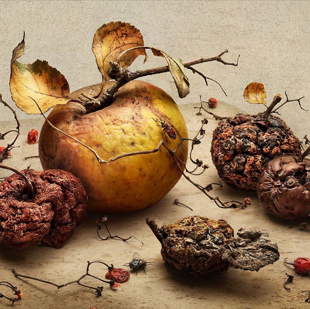 Still life of rotting apples on a neutral surface, with dry leaves and twigs adding to the scene's decay and seasonal transition.