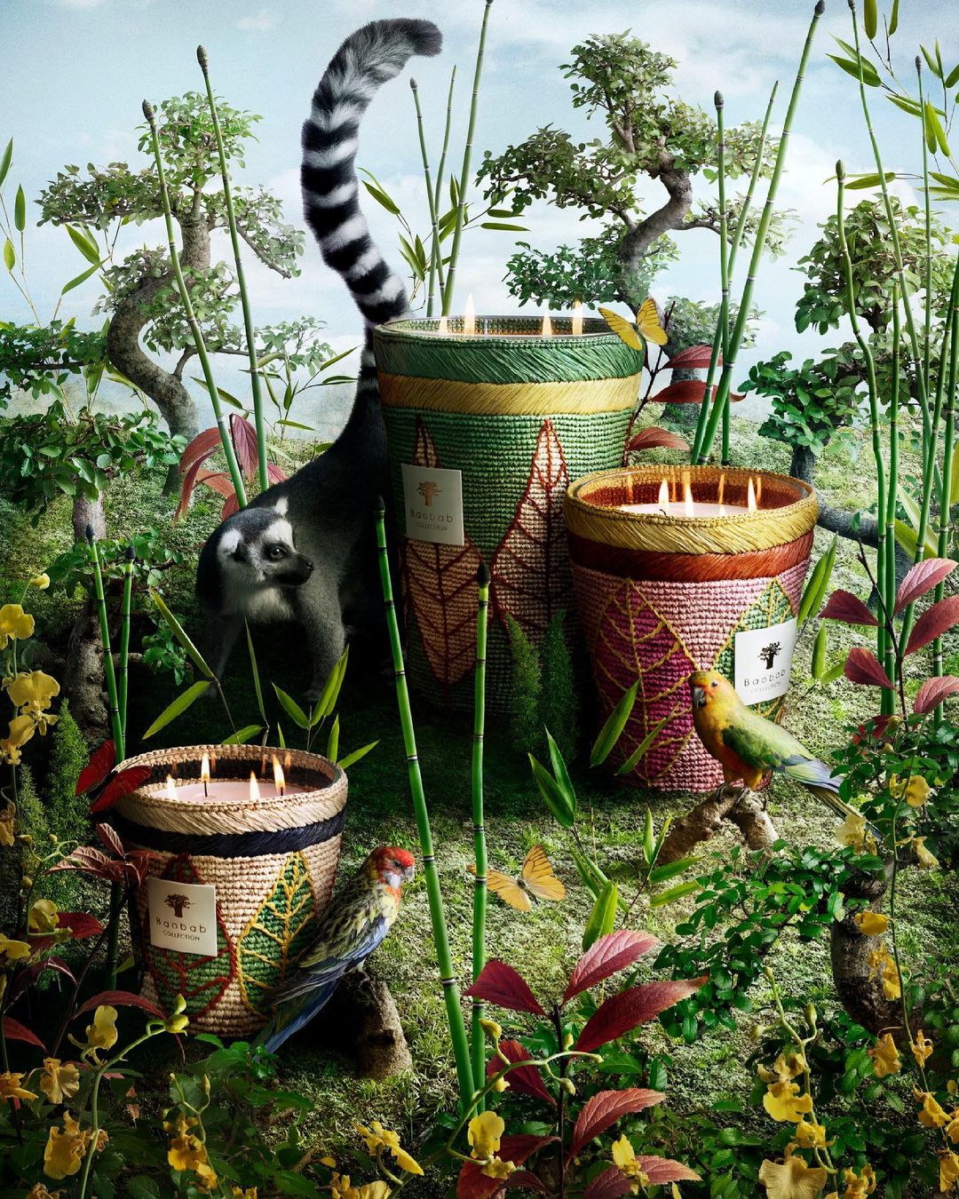 Three lit woven-basket candles sit amongst greenery and foliage in the foreground, with a ring-tailed lemur visible in the background.