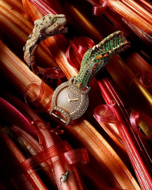 Diamond-encrusted snake-themed watch and bracelet on a bed of rhubarb stalks in shades of red, pink, orange, and brown.