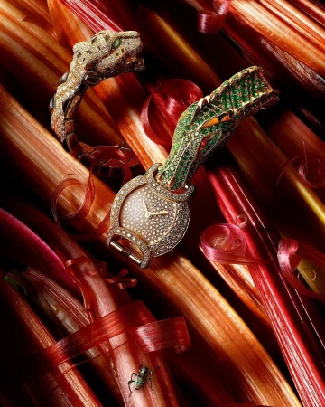 Diamond-encrusted snake-themed watch and bracelet on a bed of rhubarb stalks in shades of red, pink, orange, and brown.