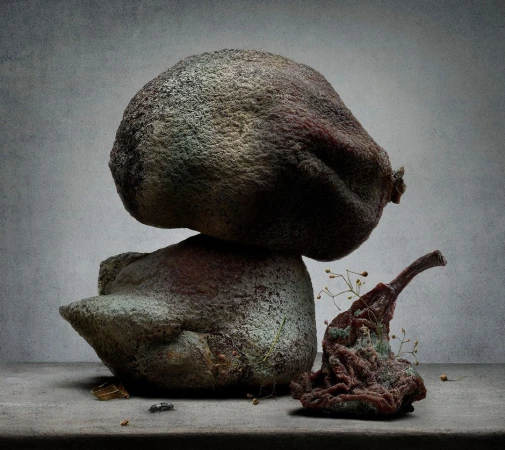 Still life photography by Peter Lippmann featuring two large decaying fruits balanced on a weathered surface against a grey wall