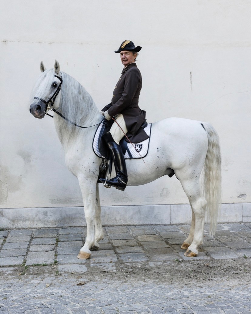 Adult male in a vintage brown coat and hat rides a white Andalusian horse in an outdoor setting, showcasing equestrian style and tradition.