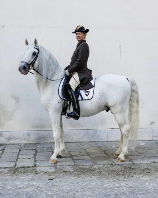 Adult male in a vintage brown coat and hat rides a white Andalusian horse in an outdoor setting, showcasing equestrian style and tradition.