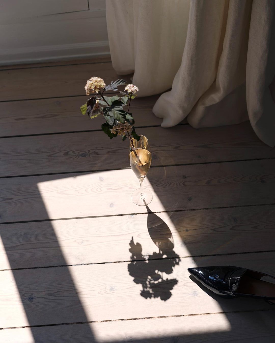 Still life of hydrangeas in a champagne glass on a wood floor with sunlight and a black patent leather stiletto pump shoe.