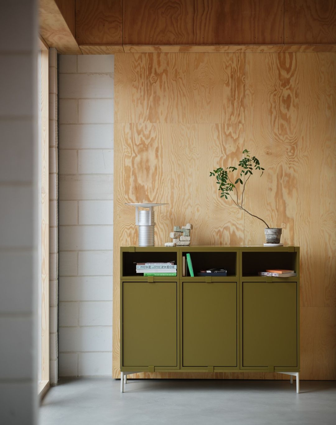 Indoor shot of a green cabinet against a wooden wall, decorated with a vase, books, and a potted plant, enhancing a modern interior space.