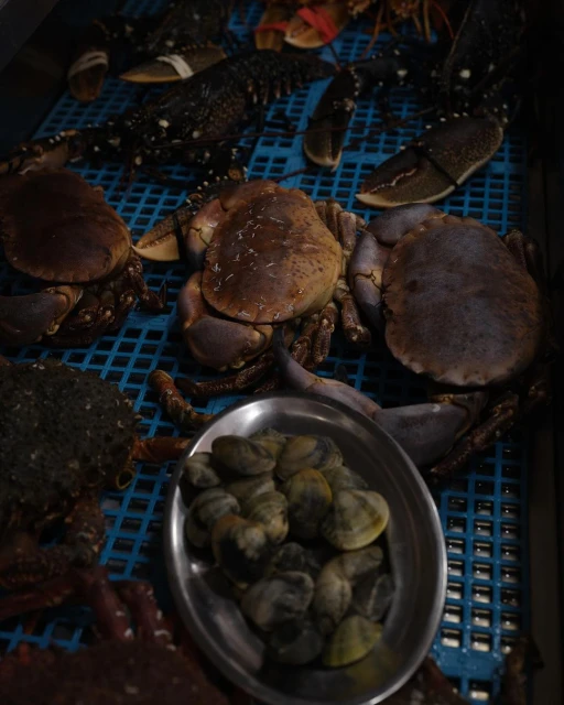 Overhead shot of crabs and shellfish on a blue plastic surface; clams sit in a metal dish, with lobsters visible in the background.