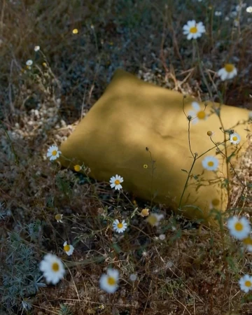 A mustard-colored cushion resting amongst wild daisies and dry field grass outdoors.