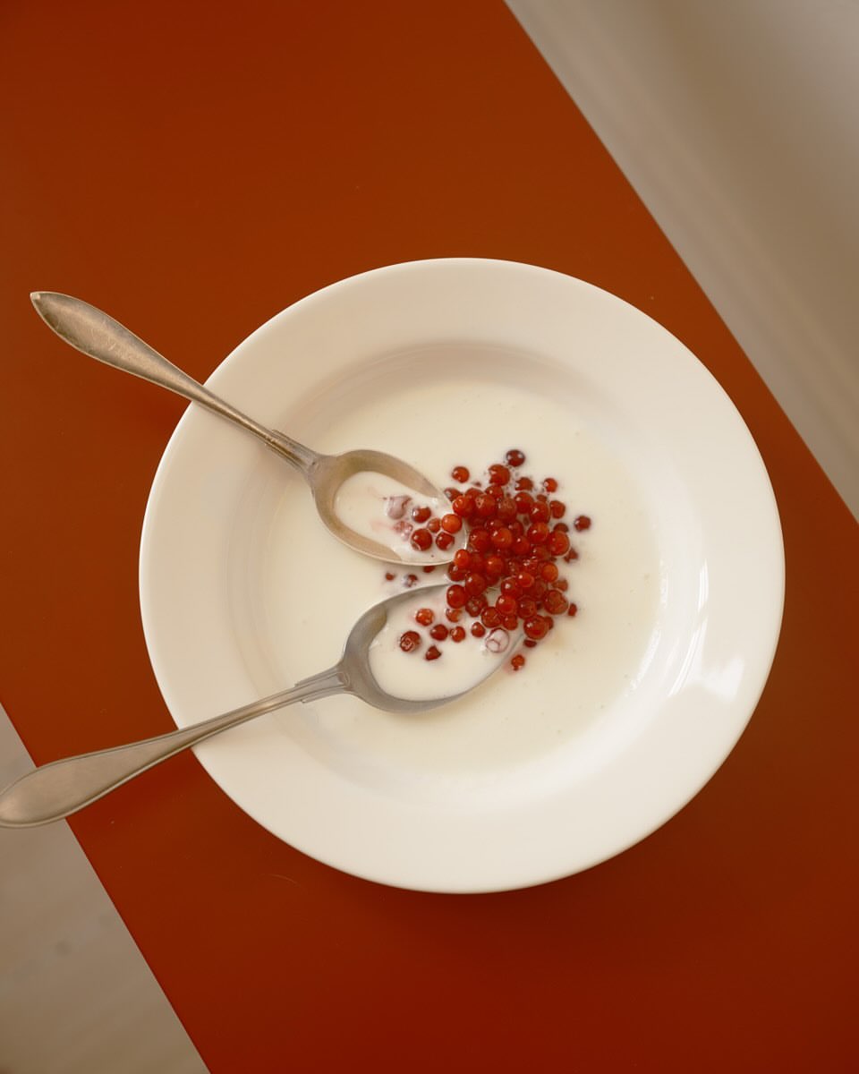 Overhead shot of two spoons holding milk and berries in a white bowl against an orange table and a white wall background.